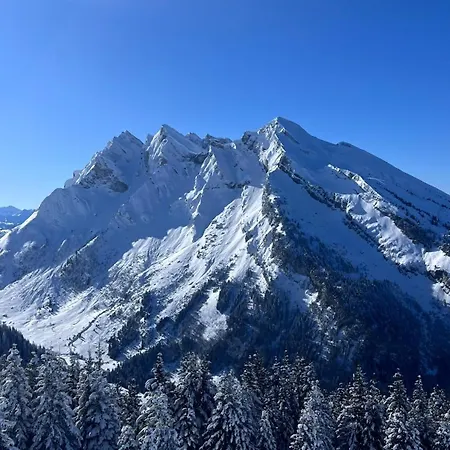 公寓 Cocon Alpin Renove - Acces Direct Aux Pistes
