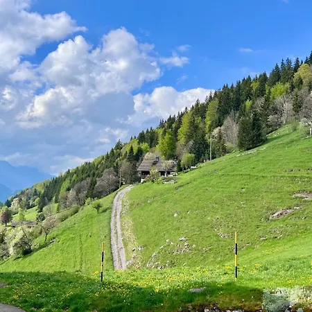 Cocon Alpin Renove - Acces Direct Aux Pistes